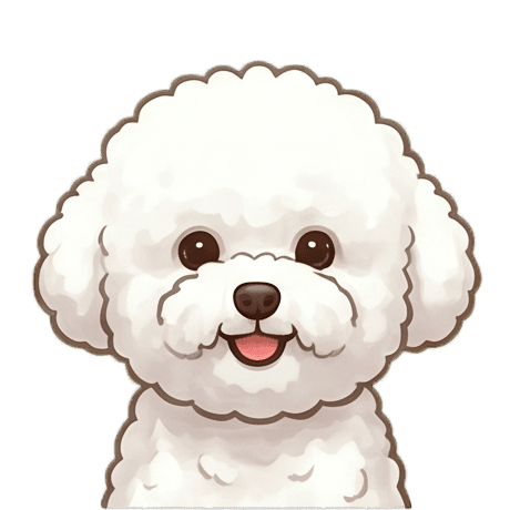 Bichon Frise